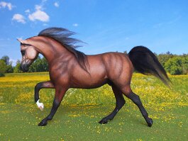 Mikado, Arab gelding. Breyer PAM repositioned by Laura Behning, r/h by Carla Clifford in 1992