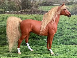 Shaharn. Arab gelding. Breyer Cl Swaps r/h in 1989
