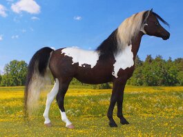 Parklane Puzzle, PBA mare. Breyer PAM r/h in 1988
