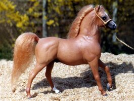 Dahab, Arabian. Breyer CAS r/h in 1978/1979