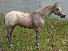 LBR Acadie, older Appaloosa mare. Breyer Stud spider r/h in February 1990