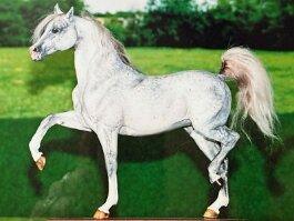 Breyer Traditional r/r/h in 1990’s with Linda York