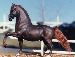 Brookridge Wright Touch, Morgan Stallion. Breyer Fighting Stallion r/r/h in late 1980’s