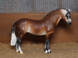 Devera GP, Andalusian mare. Breyer Cl Terrang r/r/r in 1999
