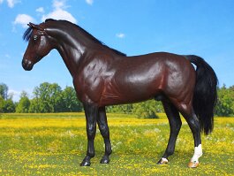 PR Beethoven, Holstein Stallion. Breyer Trakehner r/r/h in the early 1990’s