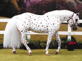 PR Cactus Jack, appaloosa stallion. Breyer SHM r/r/h in 1995