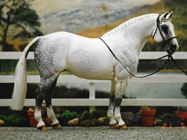 PR Rosie O Grady. Breyer Adios r/r/h in the 1990’s