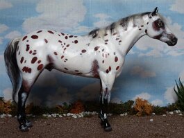 Breyer Stud Spider r/h in the 1990’s
