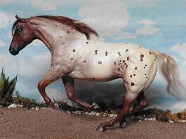 Breyer SHS r/r/h in 1989