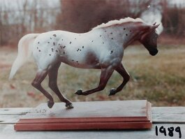 Breyer SHS r/r/h in 1989