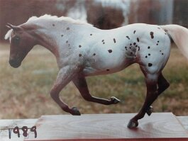 Breyer SHS r/r/h in 1989