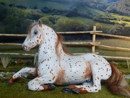 Carlito. Breyer r/r/h in the late 1980’s / early 1990’s