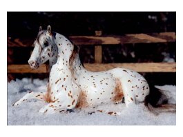 Carlito. Breyer r/r/h in the late 1980’s / early 1990’s