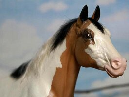 Mr Cherokee. Breyer Adios r/h in the 1990’s by ?