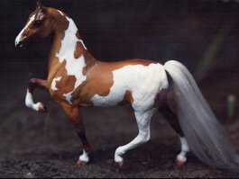 Chestnut Pinto. Breyer LB ASB r/h possibly USA artist?