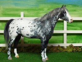 Poco Blue. Breyer r/h in the 1990’s