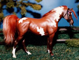 Aman Izee, PBA stallion. Breyer Cl Swaps r/r/h in 1991