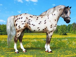 Dances with Wolves, Appaloosa stallion. Breyer Adios r/r/h in 1997